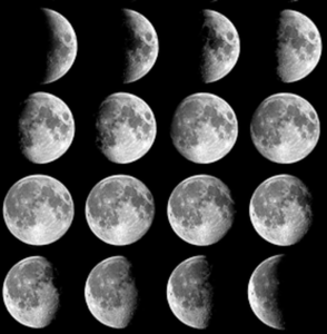 Moon Phases Observation Sheet