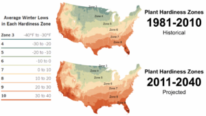 Slow Reveal Graph - Growing Zones in the United States