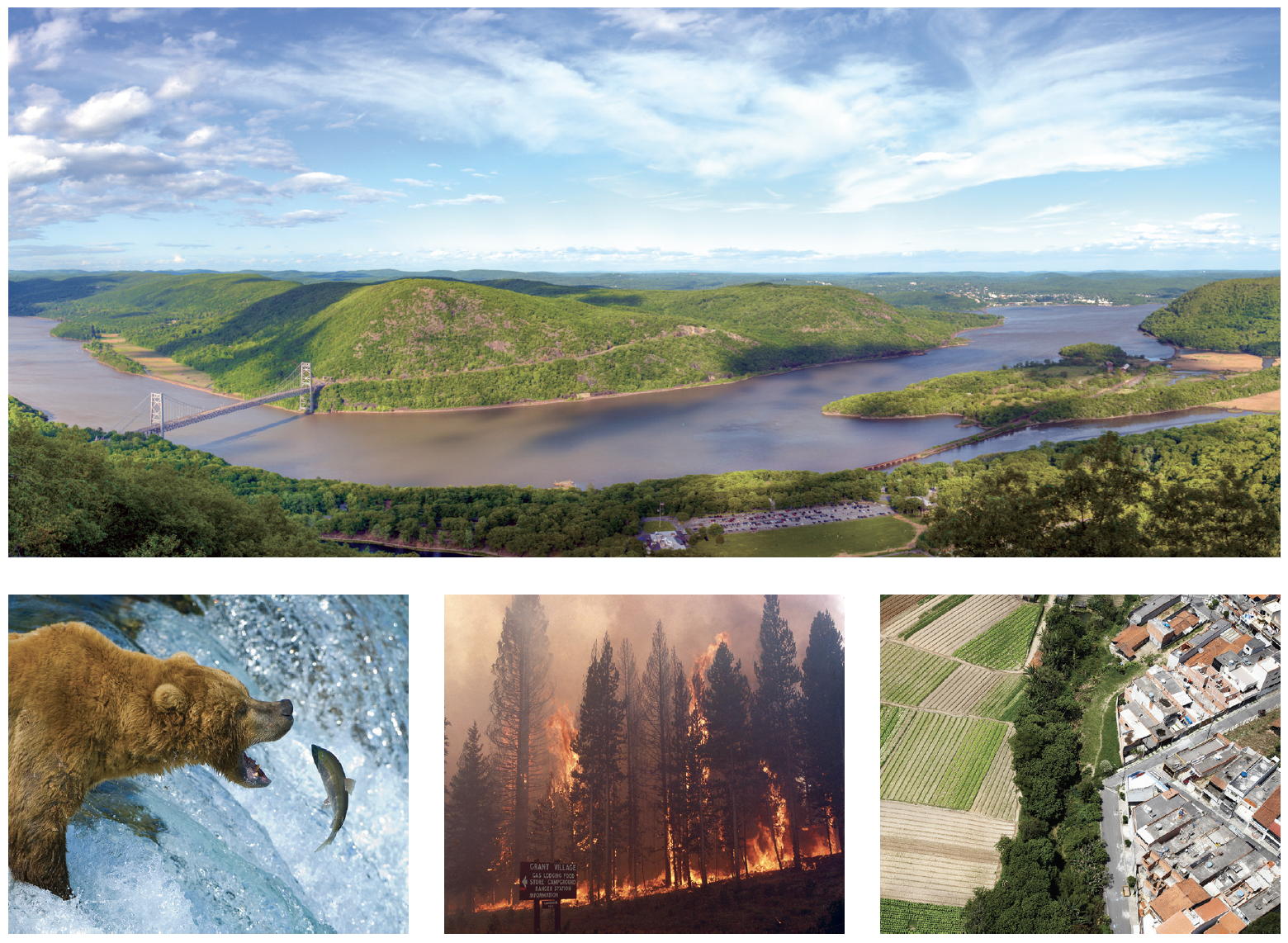 Disruptions in Ecosystems from American Museum of Natural History ...